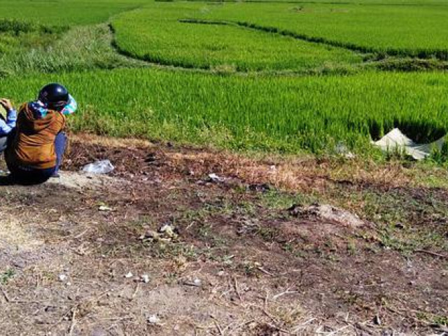 Tin tức trong ngày - Người đàn ông tử vong sau khi trốn khỏi nơi điều trị Covid-19