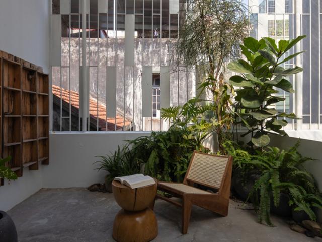 Kinh doanh - Sửa nhà hoang thành tổ ấm vừa xanh vừa sáng, đẹp miễn chê cho chàng trai Hà Nội