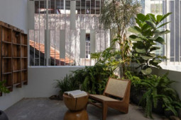 Kinh doanh - Sửa nhà hoang thành tổ ấm vừa xanh vừa sáng, đẹp miễn chê cho chàng trai Hà Nội