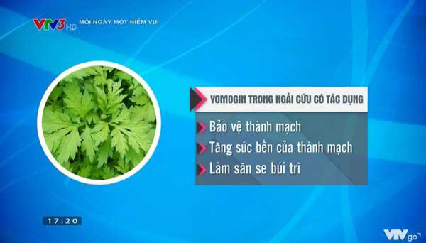 Mẹo hay "né trĩ" ngày Tết nhờ loại lá quen thuộc vườn nhà, đơn giản nhưng rất hiệu quả - 2