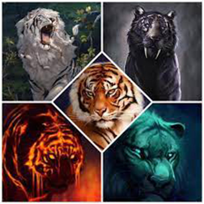 Bài quyền “Ngũ hổ cứ sơn”&nbsp;tả về năm con hổ với màu sắc và phương vị&nbsp;theo ngũ hành&nbsp;