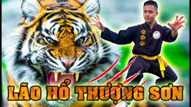 "Lão hổ thượng sơn" là bài hổ quyền phổ biến nhất Việt Nam
