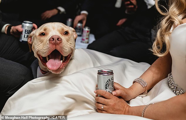 Chó cưng gây chú ý trong đám cưới khi được chọn làm phù rể - 5