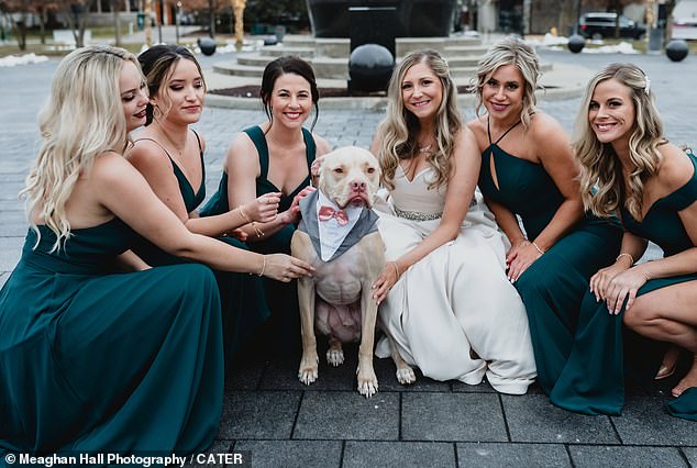Chó cưng gây chú ý trong đám cưới khi được chọn làm phù rể - 10