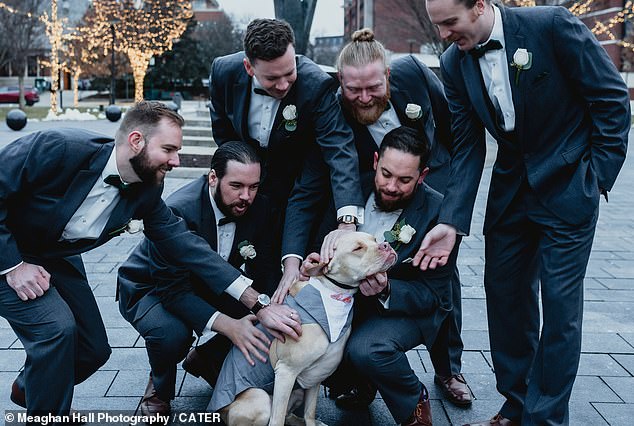 Chó cưng gây chú ý trong đám cưới khi được chọn làm phù rể - 3