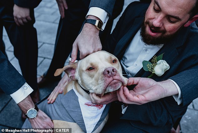 Chó cưng gây chú ý trong đám cưới khi được chọn làm phù rể - 9