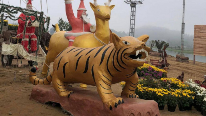 Hình ảnh con hổ "lạ" ở xã Tiên Trang, huyện Quảng Xương, tỉnh Thanh Hóa