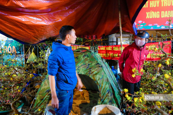 Gia đình anh Thành có 2 điểm bán cây cảnh phục vụ Tết nên các thành viên trong gia đình anh phải chia người ra để trông tại từng điểm. "Vườn mai của tôi khá độc, lạ, đẹp có giá trị lớn nên liên tục 2 anh em phải thay nhau thức trông suốt đêm, đề phòng bị ngắt, hái và phá hoại", anh Hoàng nói.