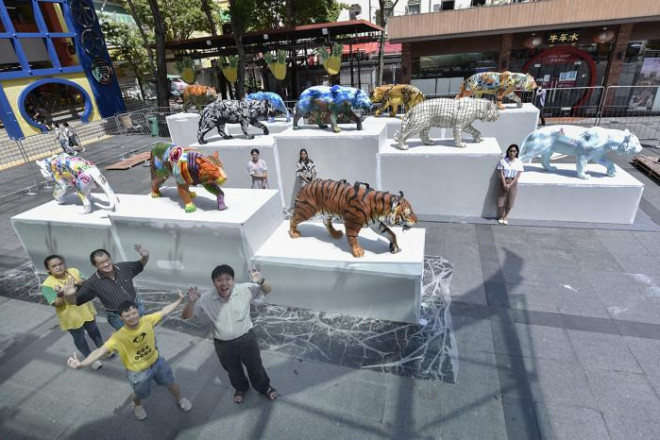 Các nước châu Á trang trí linh vật hổ như thế nào? - 5