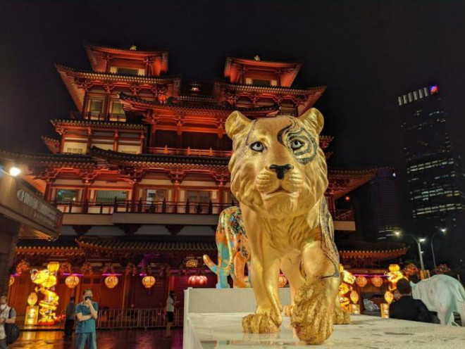 Các nước châu Á trang trí linh vật hổ như thế nào? - 10