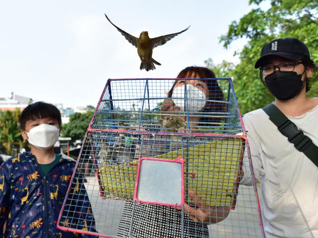 Tin tức trong ngày - Phóng sinh chim tiền triệu, cá “khủng” xuống bến sông Sài Gòn