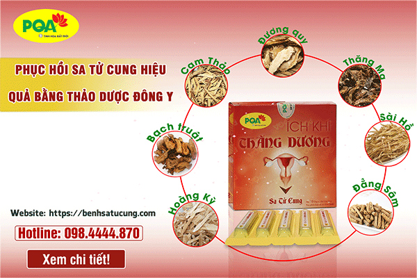 PQA Ích Khí Thăng Dương đẩy lùi bệnh an toàn từ thảo dược Đông y