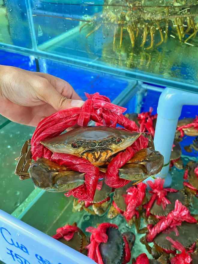 Đủ loại hải sản tươi sống tại quầy cho bạn lựa chọn - Ảnh: Hoàng Thao Seaview