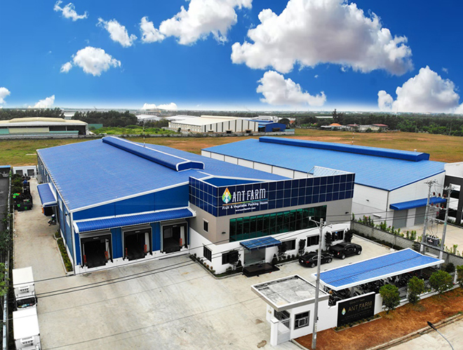 ANT Farm khánh thành nhà máy Bến Lức – khẳng định vị thế trong ngành xuất nhập khẩu nông sản - 3