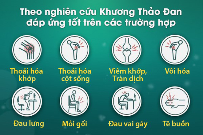 Khương Thảo Đan: Không chỉ giúp giảm đau mà còn phục hồi sụn khớp thoái hóa hiệu quả! - 5