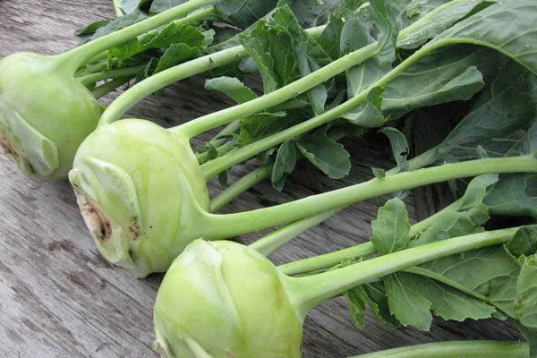 Su hào là “thần dược” mùa đông nhưng ăn cách này thêm bệnh, hại thân - 2