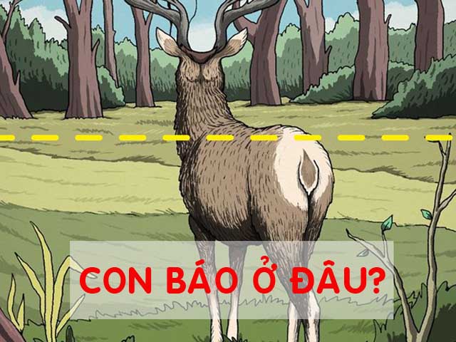 Bạn trẻ - Cuộc sống - IQ vô cực mới giải được 7 bài quiz này