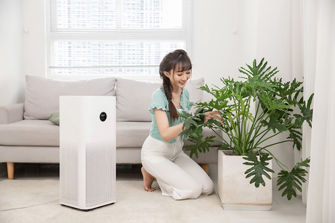 Nhiều khách chọn mua máy lọc, tạo độ ẩm để cải thiện không khí trong lành hơn