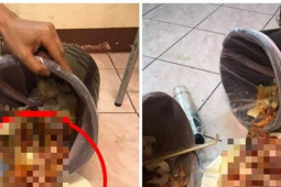 Phi thường - kỳ quặc - Đôi vợ chồng vừa đưa con rời đi, nhà hàng buffet phát hoảng khi thấy thứ trong thùng rác