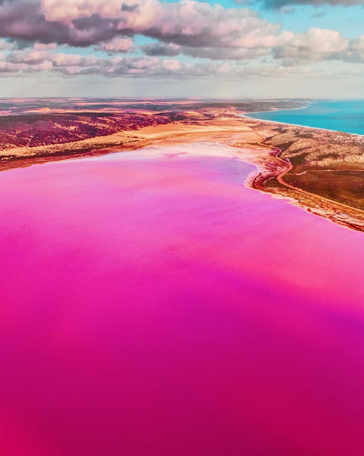 11. Hutt Lagoon được xem là “nhà máy” sản xuất vi tảo tự nhiên lớn nhất thế giới, cung cấp cho ngành công nghiệp nhuộm màu thực phẩm.
