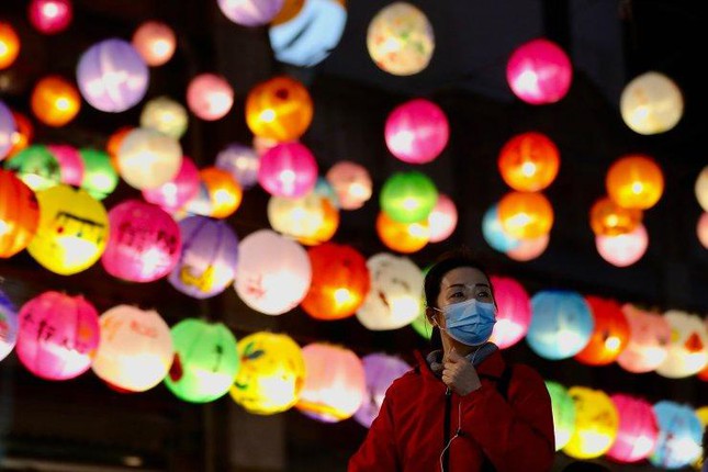 Một phụ nữ Đài Bắc (Đài Loan, Trung
Quốc) ngắm đèn lồng trang hoàng mừng năm mới. Ảnh: EPA
