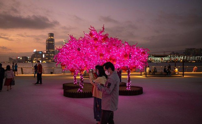 Người dân Hồng Kông chụp ảnh bên mô
hình cây hoa đào trên bến cảng Victoria. Ảnh: EPA