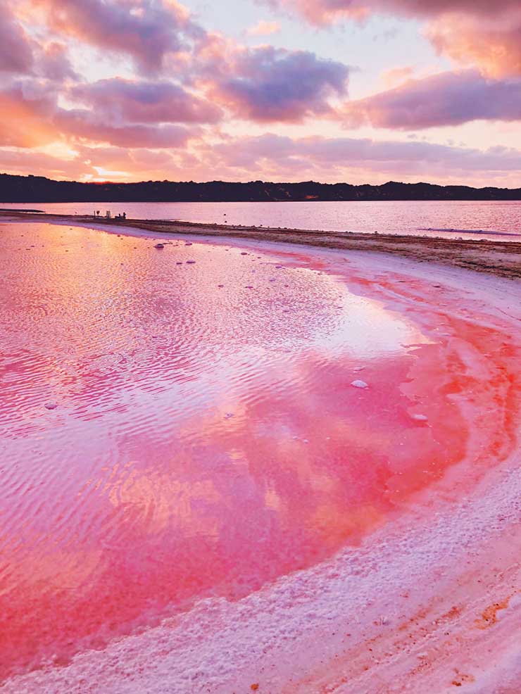 2. Hutt Lagoon là một hồ muối có màu đỏ hoặc hồng do sự hiện diện của loài tảo đỏ carotenoid Dunaliella salina, một nguồn ß-carotene - chất tạo màu thực phẩm và nguồn vitamin A dồi dào.
