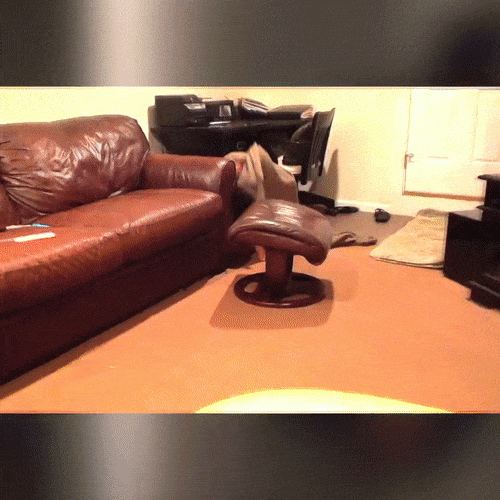 Khi các phụ huynh hài hước khiến cho con cái phải khiếp vía - 1