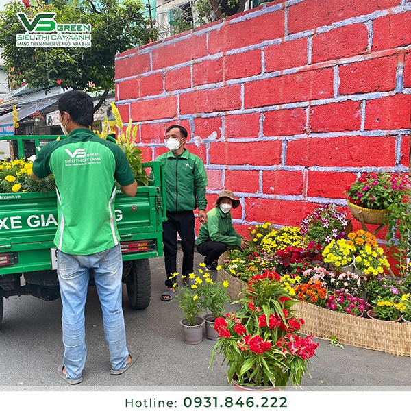 Công việc setup được chuẩn bị tỉ mỉ