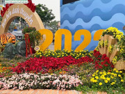 VsetNature đồng hành cùng chợ hoa xuân “trên bến dưới thuyền 2022”