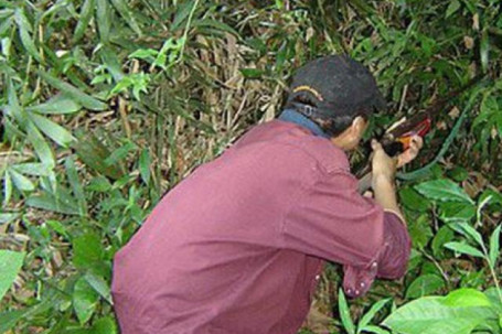 Xách súng đi săn, bắn chết người vì tưởng là... khỉ