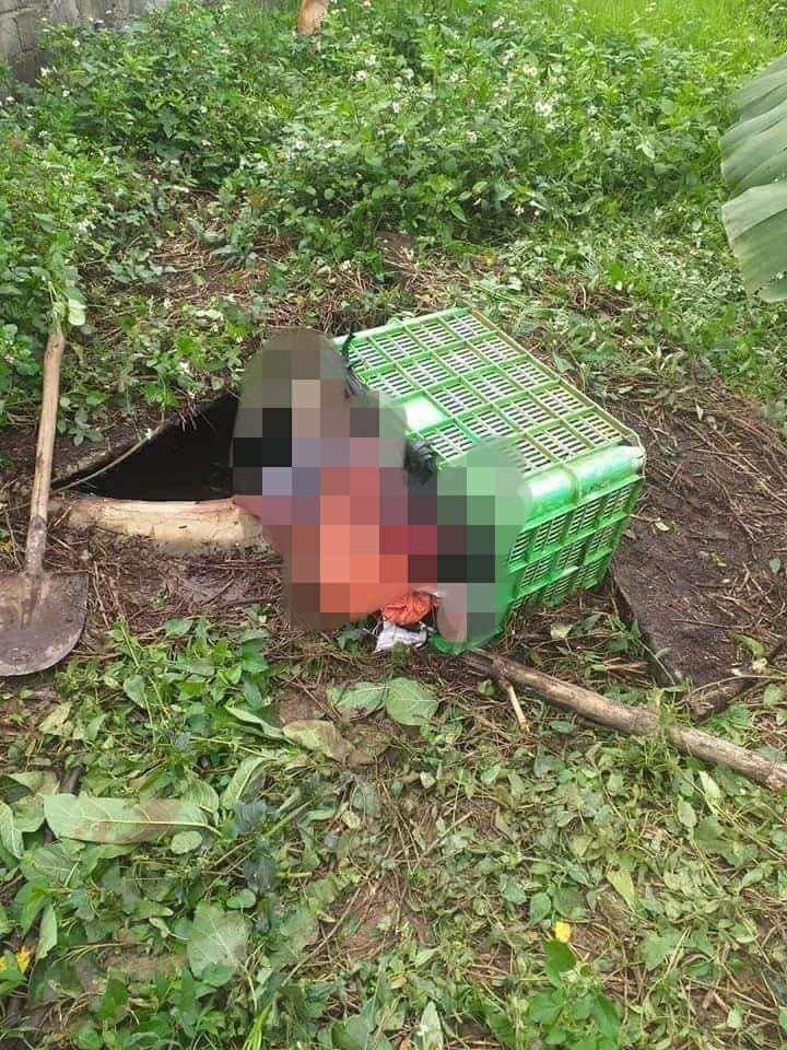 Thi thể người phụ nữ trong sọt nhựa được tìm thấy dưới hầm biogas.