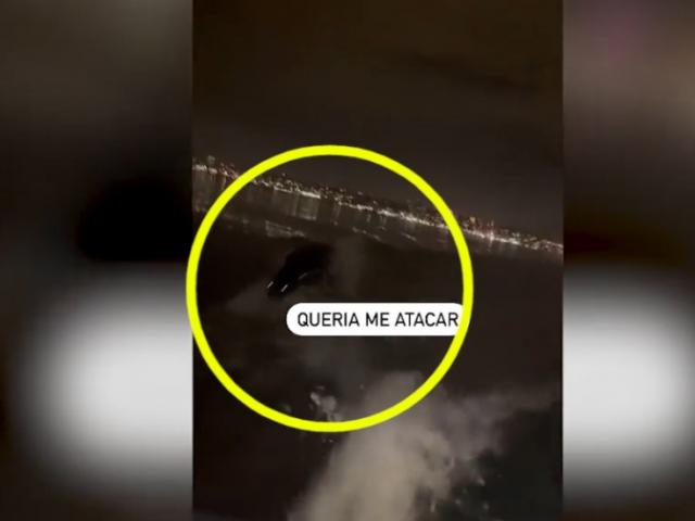 Thế giới - Video: Sinh vật biển bí ẩn, mắt rực sáng đuổi theo thuyền của ngư dân Brazil?