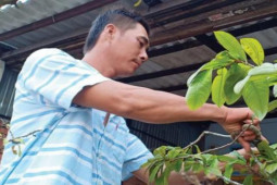 Tin tức trong ngày - Tết sum vầy sau tháng ngày dài tha hương