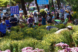 Tin tức trong ngày - "Siêu sale" hoa Tết nhưng vẫn ế, thương lái chọn cách xử lý mới