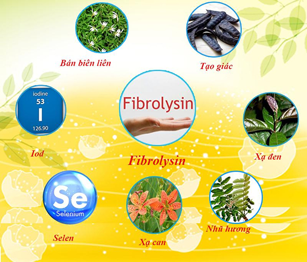 Fibrolysin kết hợp với nhiều thảo dược khác giúp tăng tác dụng cải thiện ho có đờm