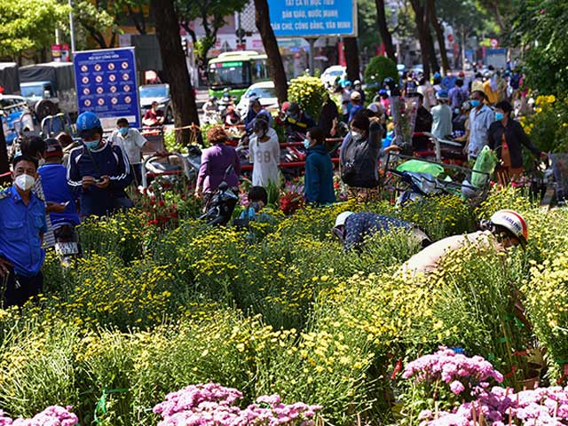 Tin tức trong ngày - "Siêu sale" hoa Tết nhưng vẫn ế, thương lái chọn cách xử lý mới