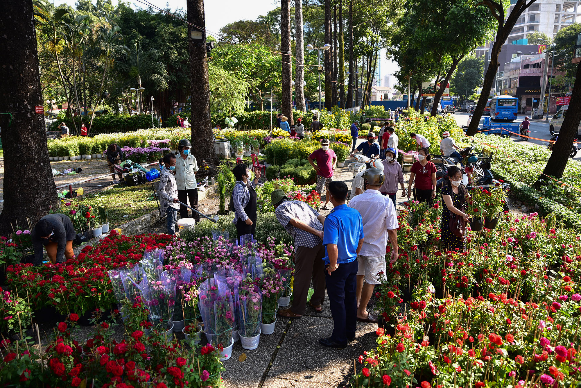 Sáng 31/1 (29 Tết), không khí mua hoa kiểng náo nhiệt hơn ở các chợ hoa Tết so với những ngày trước đó, nhất là tại các chợ hoa mở trong công viên.