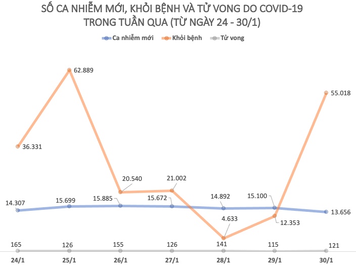Tình hình dịch COVID-19 tại Việt Nam tuần qua (24 - 30/1) - 1