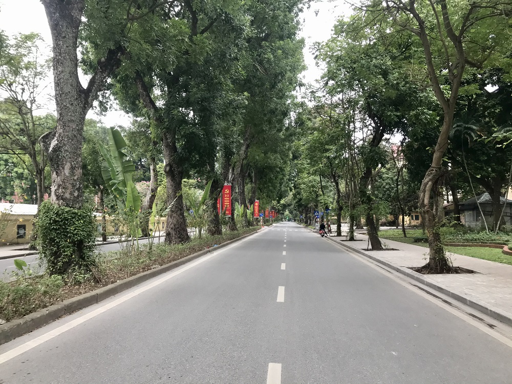 Vẻ tĩnh lặng, đẹp dịu dàng rất lạ của đường phố Hà Nội, TP.HCM sáng đầu năm mới - 16