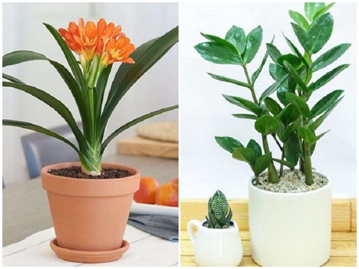Đầu năm đi chợ mua gì để may mắn cả năm? - 5