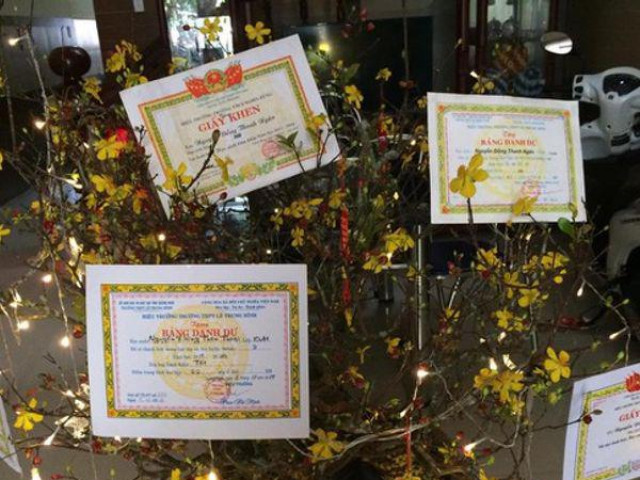 Giáo dục - du học - Học sinh khoe thành quả trang trí cây cảnh ngày Tết "bá đạo" khiến dân tình "mắt tròn mắt dẹt"