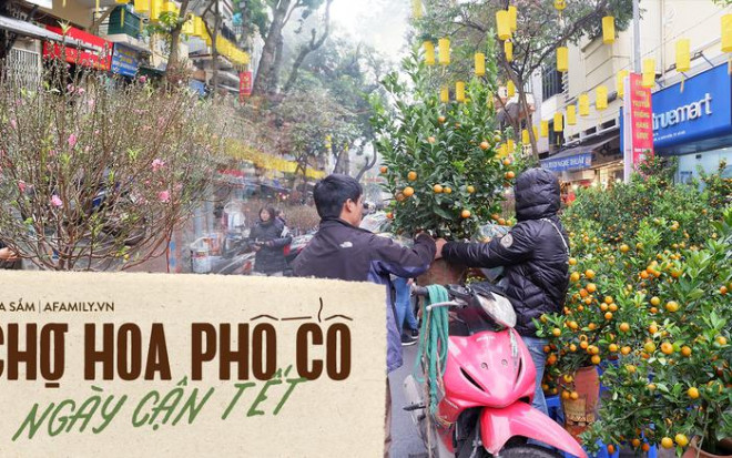 Chợ hoa xuân Hà Nội ngày nay. Ảnh minh họa.