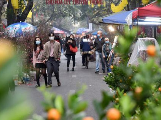 Thị trường - Tiêu dùng - Chợ hoa Tết Hà Nội: Từ chợ Cầu Đông xưa đến phố Hàng Lược bây giờ