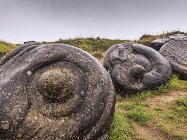 Phi thường - kỳ quặc - Bí ẩn vùng đất có loại đá kỳ lạ biết phình to và tự di chuyển