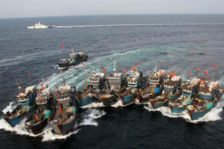Chuyên gia: Báo động nguồn cá tại Biển Đông trước các đội tàu cá Trung Quốc
