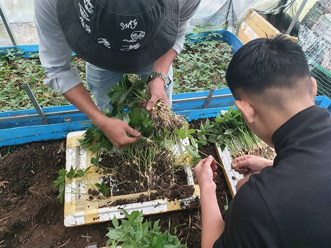 Dự án MHG Farm với triết lý kinh doanh gắn liền với trách nhiệm xã hội - 3