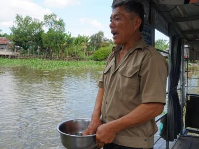 Tin tức trong ngày - Đàn cá hàng ngàn con trú ngụ nơi bến đò ở Cái Bè không chịu rời đi