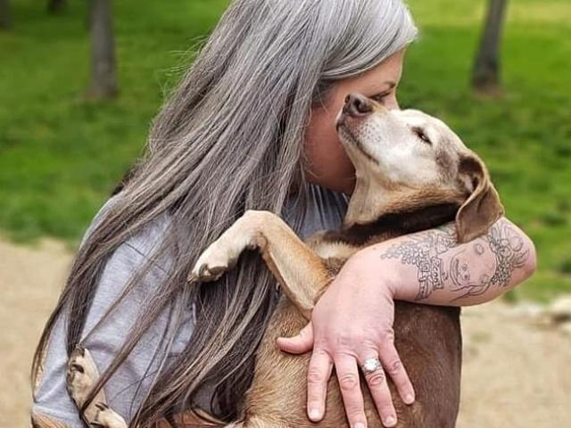 Bạn trẻ - Cuộc sống - Người phụ nữ mở trại tế bần chăm sóc 80 con chó vô gia cư