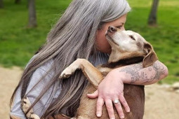 Bạn trẻ - Cuộc sống - Người phụ nữ mở trại tế bần chăm sóc 80 con chó vô gia cư